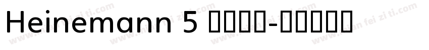 Heinemann 5 字体家族字体转换